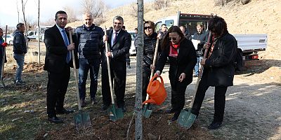 Büyükşehir’den Türk Kadınlar Birliği Kayseri Şubesi Hatıra Ormanı