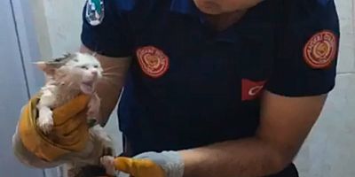 Büyükşehir İtfaiyesi, Tuvalet Giderine Sıkışan Minik Kediyi Kurtardı