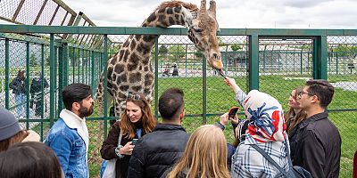 İsviçreli Öğrenciler Büyükşehir’in Hayvanat Bahçesi’ne Hayran Kaldı