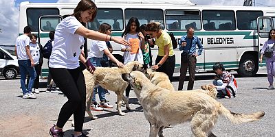 Kocasinan’da Gençlere Hayvan Sevgisi Aşılanıyor