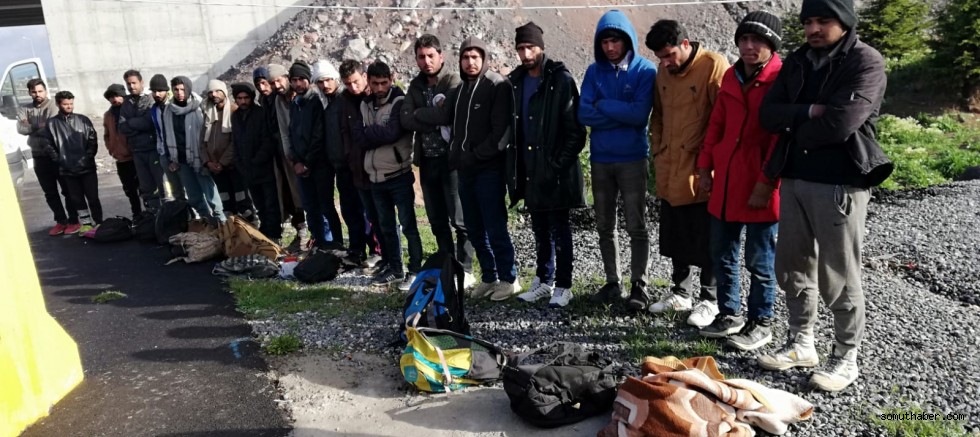 21 Afgan uyruklu kaçak göçmen yakalandı