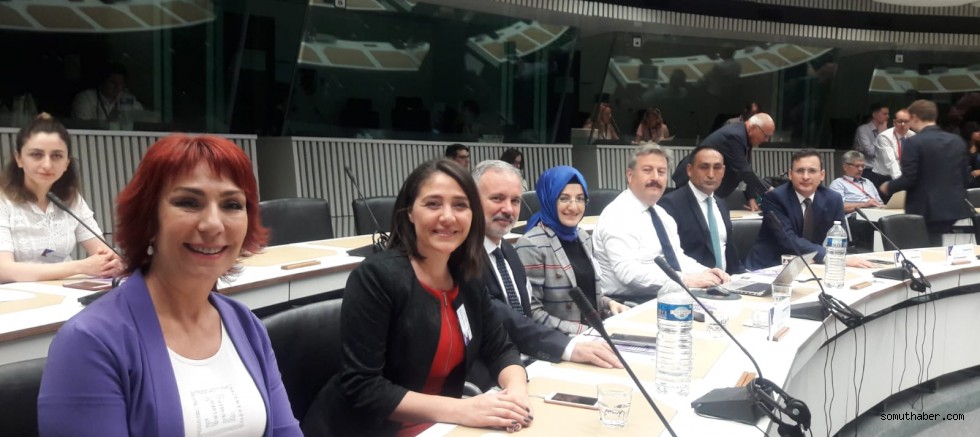 Başkan Palancıoğlu, Brüksel’deki Türkiye Çalışma Grubu Toplantısında