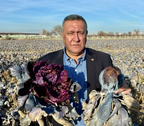 Gürer: 2025 Yılı Üretim Kaybı Rafa Zam Olarak Yansıdı