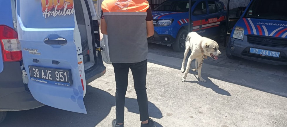 Kayseri’de Köpeği Bağlayarak Aracını Çektiren Şahsa Ceza