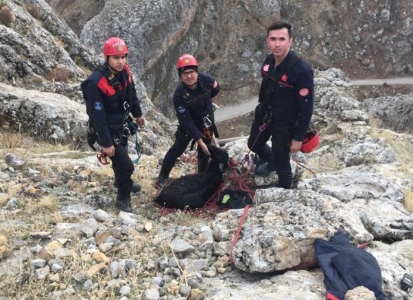 Kayseri’de Uçurumda Mahsur Kalan Keçi, 3 Saatlik Çalışmayla Kurtarıldı