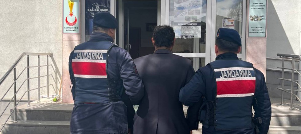 Köpeği Ağaca Asarak Öldüren Şahıs Gözaltına Alındı