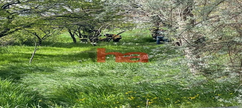 55 Yaşındaki Adam Ağaca Asılı Halde Bulundu