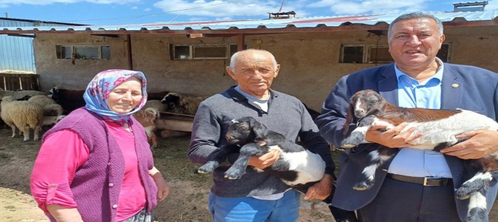 CHP’li Gürer: 300 Koyun Projesi Sonuç Vermedi, Şimdi 150 Bin Koyun Gündemde