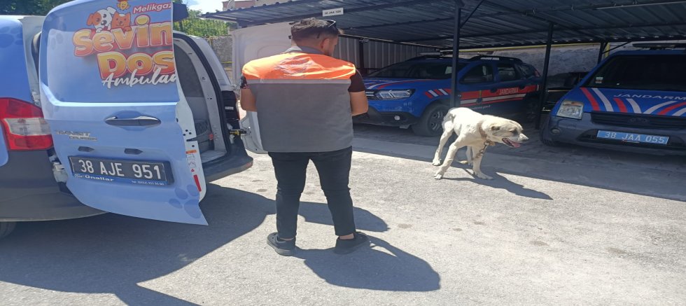 Kayseri’de Köpeği Bağlayarak Aracını Çektiren Şahsa Ceza