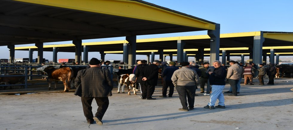 Kayseri’de Kurbanlık Tavsiye Fiyatları Açıklandı