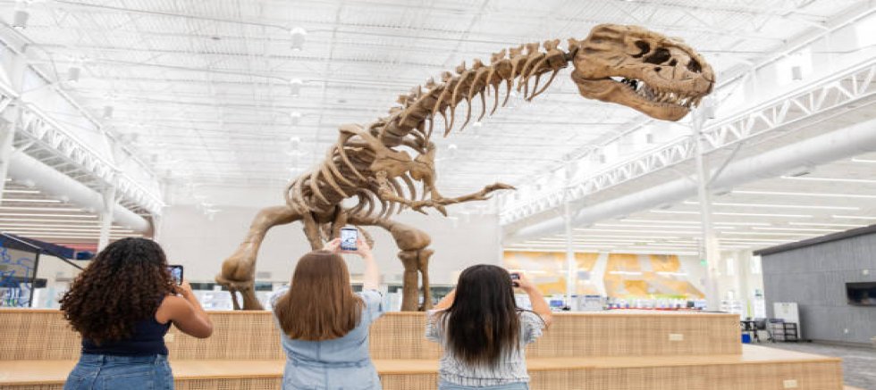Kayseri’de Paleontoloji ve Fosil Müzesi Açılıyor