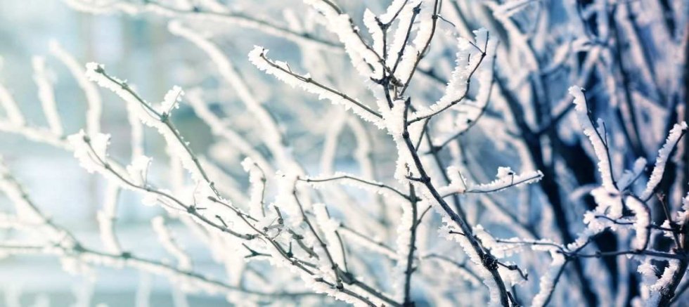 Kayseri’ye Zirai Don Uyarısı Geldi