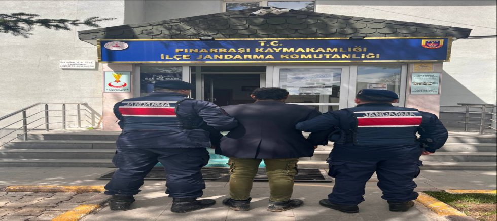 Köpeği Ağaca Asarak Öldüren Şahıs Gözaltına Alındı