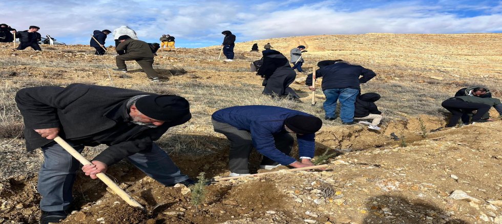 Saadet Partisi Kayseri İl Teşkilatından Fidan Dikim Etkinliği