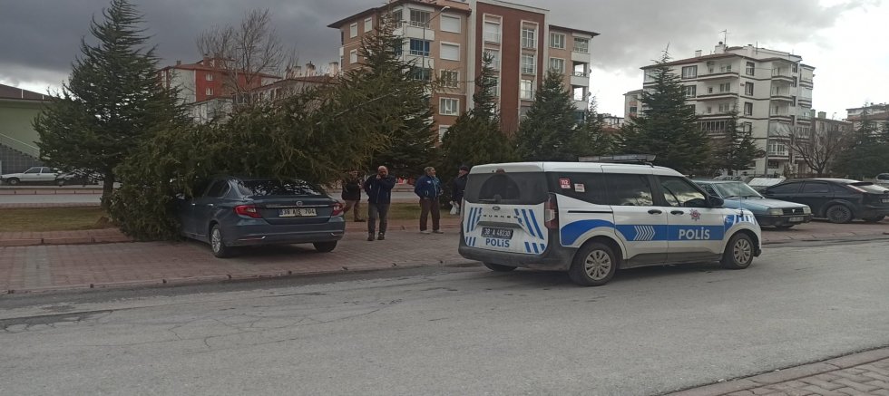 Şiddetli Rüzgarın Devirdiği Ağaç Otomobilin Üzerine Düştü