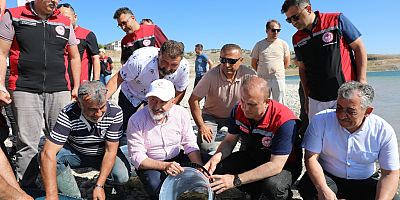 1.5 Milyon Yavru Sazan Balığı Sulara Bırakıldı