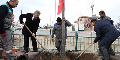 1 yıl da 70 Bin Ağaç Toprakla Buluştu