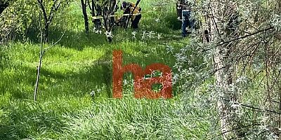 55 Yaşındaki Adam Ağaca Asılı Halde Bulundu