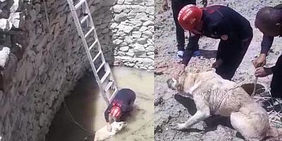7 Metrelik Kuyuya Düşen Köpeği İtfaiye Kurtardı