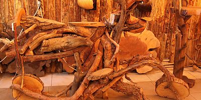 Ağaç Köklerini Sanat Eserine Dönüştürüyor