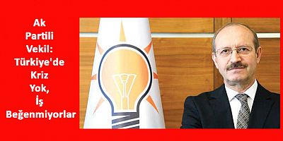 Ak Partili Vekil: Türkiye'de Kriz Yok, İş Beğenmiyorlar