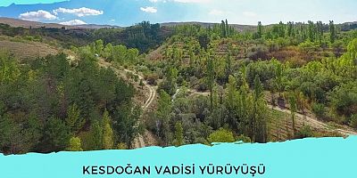 Akkışla'da Doğa Yürüyüşü Yapılacak