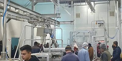 Akkışla’dan Afet Bölgesine Destek: 103 Küçükbaş