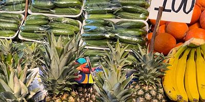 Ananas Pazar Tezgahlarında 100 Liradan Yerini Aldı