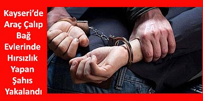 Araç Çalıp Bağ Evlerinde Hırsızlık Yapan Şahıs Yakalandı