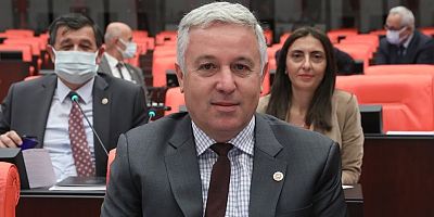 Arık Diyabetli Çocukların Sorunlarını TBMM’de Gündeme Taşıdı