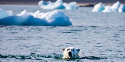 Arktik Okyanusu'ndaki Yıllık Buz Alanı Minimuma Ulaştı