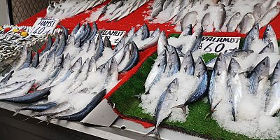Balık Fiyatları Bollaştıkça Düşecek