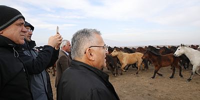 Başkan Büyükkılıç Hörmetçi’deki Yılkı Atlarını İzledi