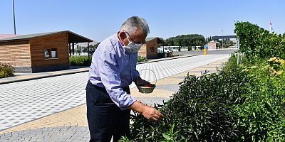 Başkan Büyükkılıç’tan Organik Tarıma Destek