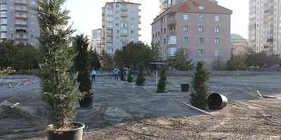 Başkan Çolakbayrakdar, “110 Farklı Noktaya 100 Bin Ağaç Diktik”