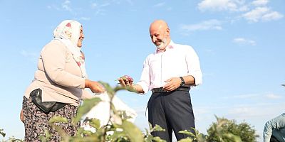 Başkan Çolakbayrakdar’dan 'Geleneksel Yamula Patlıcanı' Etkinliğine Davet