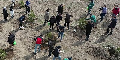 Başkan Çolakbayrakdar, Gara ve Bitlis Şehitlerinin Anısına Ağaç Dikti