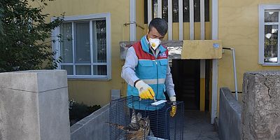 Başkan Çolakbayrakdar, “Küçük Dostlar Ambulansı 3 Bin 410 Can Kurtardı”