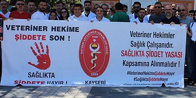 Başkan Ergül: Veteriner Hekimlerin Sağlıkta Şiddet Yasası Kapsamına Alınmasını Talep Ediyoruz