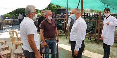 Başkan Esat Öztürk Kurban Pazarını Ziyaret Etti