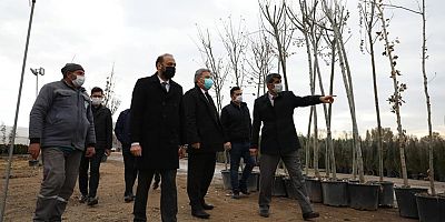 Başkan Palancıoğlu, Fidanlığı İnceledi