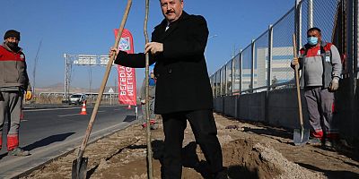 Başkan Palancıoğlu: İklime Uygun Ağaçlandırma Yapılarak, İlçenin Ağaç Haritası Çıkarılacak