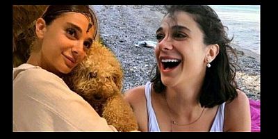 Başkan Uzunluoğlu: Kadın Cinayetleri Artık Son Bulsun