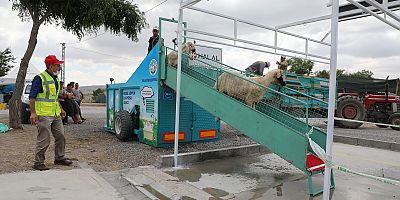 Belediye Yıkıyor, Kurbanlıklar Görücüye Çıkıyor