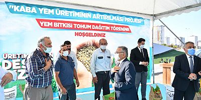 Büyükşehir 371 Ton Yem Bitkisi Tohumu Dağıttı