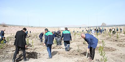 Büyükşehir, Baharın Gelmesi İle Fidan Dikimine Başladı