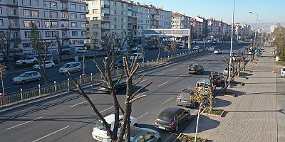 Büyükşehir’den Ağaçlara ‘Kış’ Bakımı