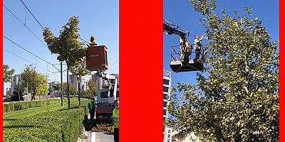 Büyükşehir’den Hummalı Sonbahar Çalışması