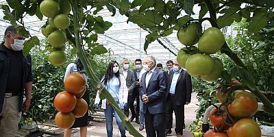 Büyükşehir Hem Çevreyi Koruyor Hem De Kazanıyor