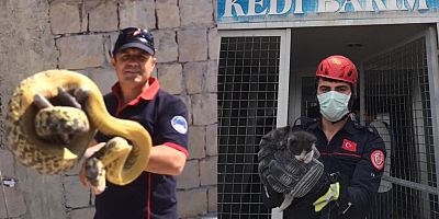 Büyükşehir İtfaiyesi Yılan Timi, 3 Metrelik Yılanı Yakaladı